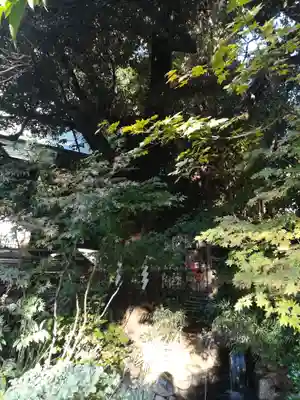 東京大神宮のその他建物