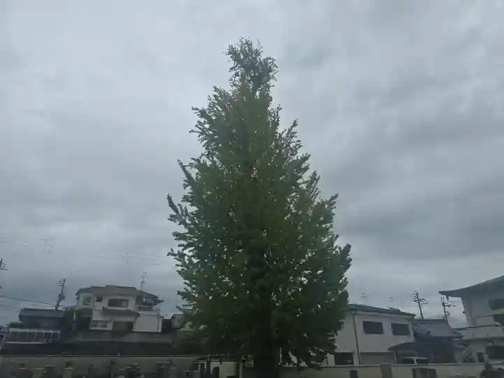 西方寺(大阪府)