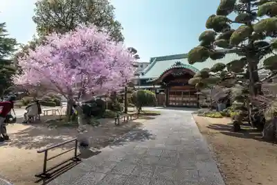 福祥寺（須磨寺）の本殿・本堂