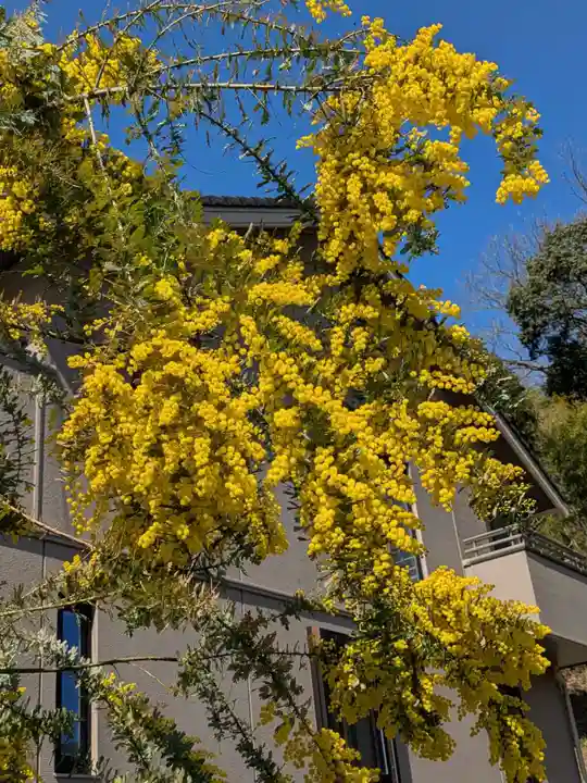 洞照寺(岐阜県)