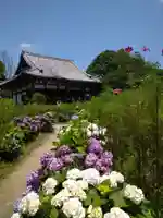般若寺 ❁コスモス寺❁(奈良県)