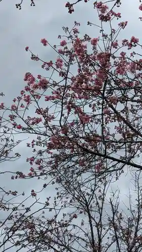 熊野若王子神社(京都府)