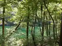龍ヶ窪神社(新潟県)