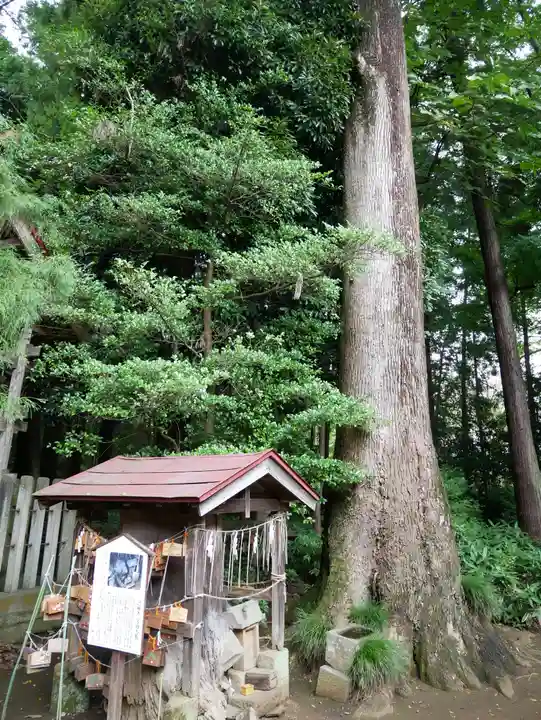 胎安神社のその他建物