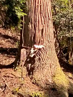 室尾谷神社(京都府)