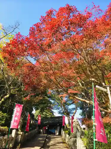 𠮷水神社（吉水神社）(奈良県)