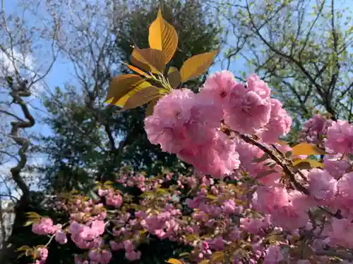 下御霊神社(京都府)