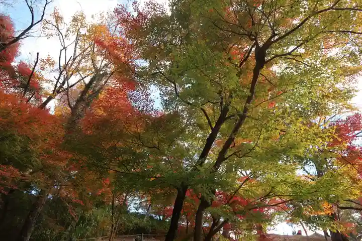 才覚地蔵(三重県)
