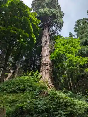 志和稲荷神社(岩手県)