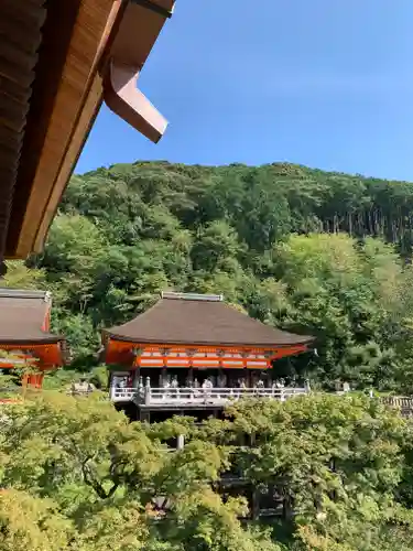 清水寺の景色