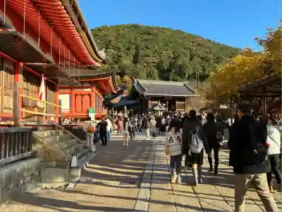 清水寺(京都府)
