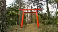 稲荷神社の鳥居