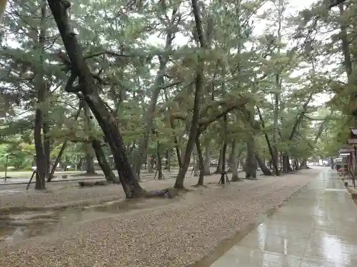 出雲大社(島根県)