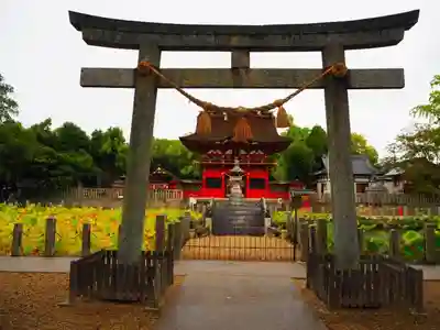 伊賀八幡宮の鳥居