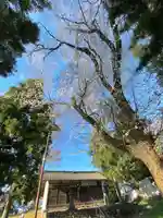 滋野神社のその他建物