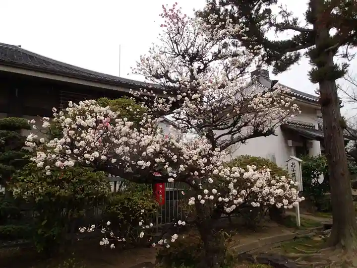 誉田八幡宮の自然