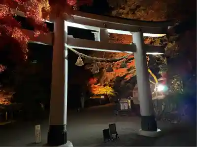 宝登山神社(埼玉県)