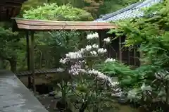 高山寺の庭園