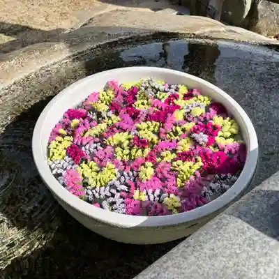 勝岡八幡神社の手水舎