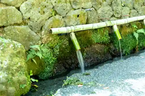 富士山本宮浅間大社(静岡県)
