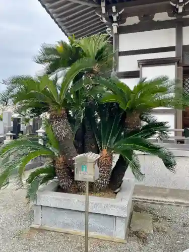 最福寺(神奈川県)