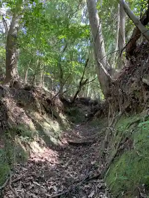 浅間神社の自然