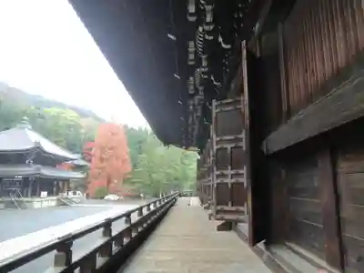 知恩院(京都府)