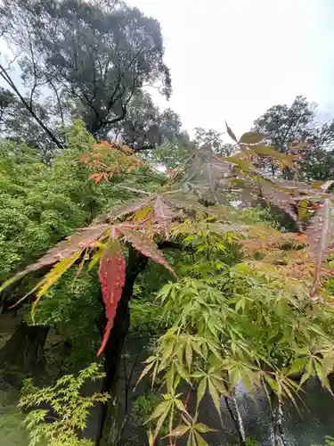 西芳寺(京都府)