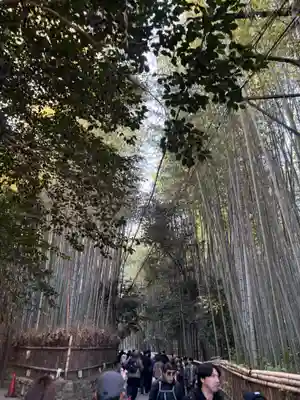 野宮神社(京都府)