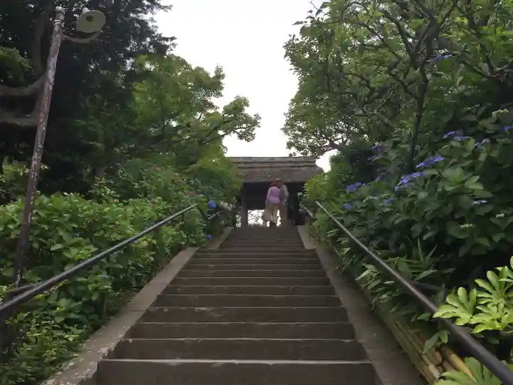 東慶寺(神奈川県)