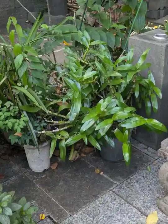 多宝院(東京都)