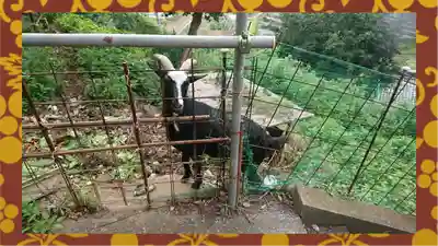 賀茂別雷神社(栃木県)