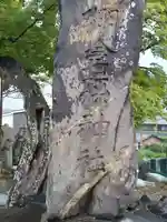 棚倉孫神社(京都府)