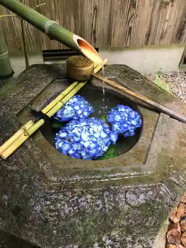 柳谷観音　楊谷寺の手水舎