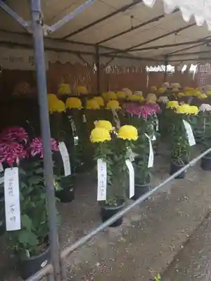 妻沼聖天山歓喜院のその他建物