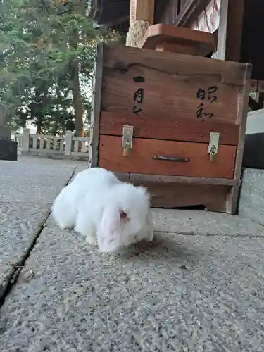 大御和神社(徳島県)