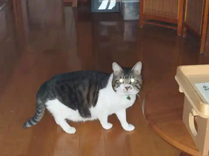 神明宮(新潟県)