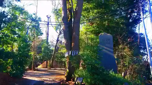 代々木八幡宮のその他建物