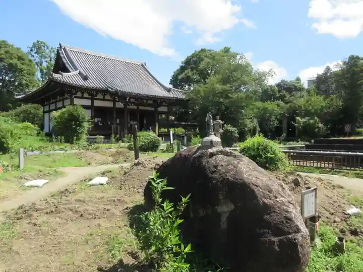 般若寺 ❁コスモス寺❁(奈良県)