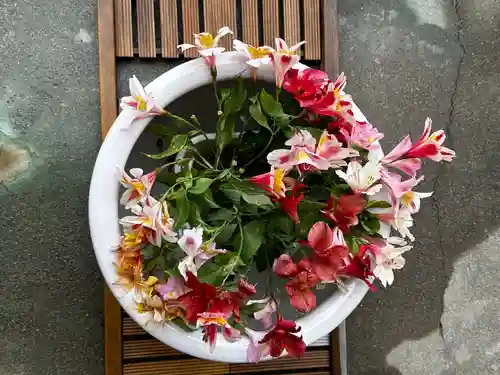 徳島眉山天神社(徳島県)