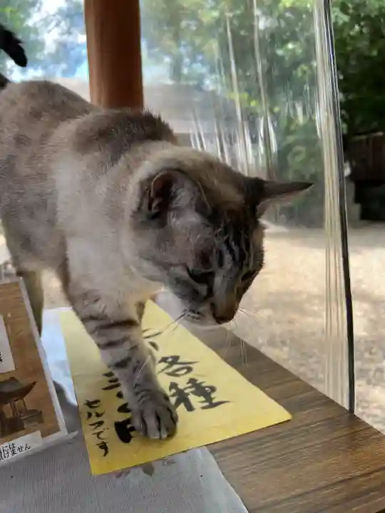 白鬚神社(宮崎県)