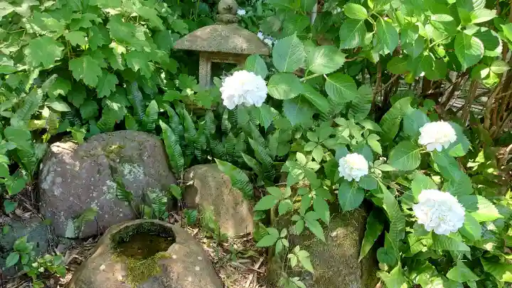 天鏡院(京都府)