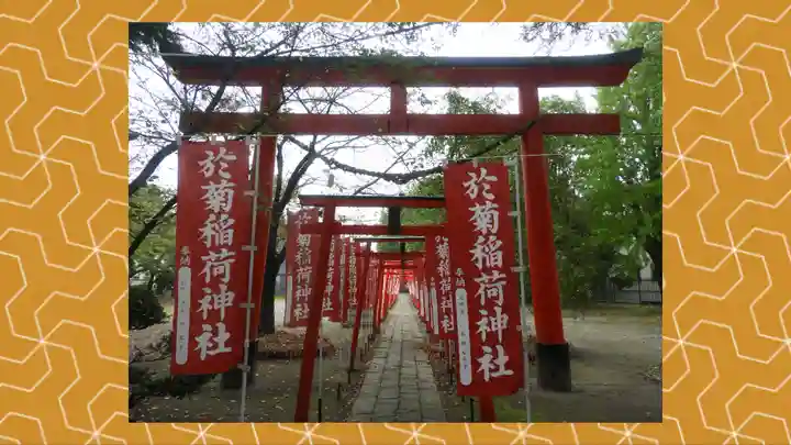 於菊稲荷神社(群馬県)