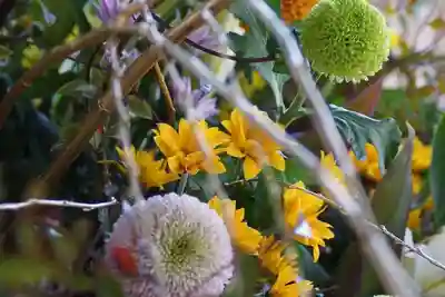 東海市熊野神社の手水舎