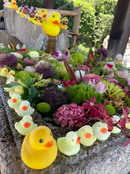 くろ谷 金戒光明寺の手水舎