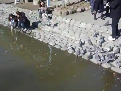 鶴岡八幡宮のその他建物