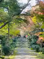 浄住寺(京都府)