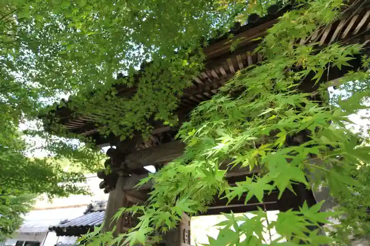安国寺の山門・神門
