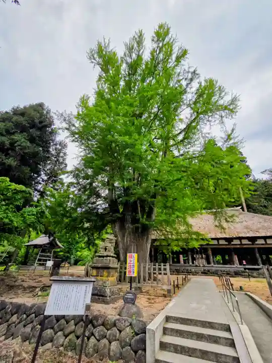 新宮熊野神社(福島県)