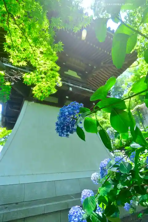 高幡不動尊 金剛寺(東京都)